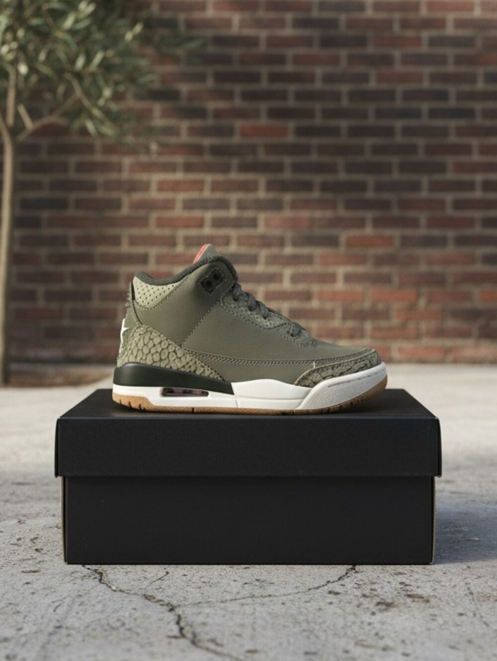 Jordan 3 Retro 'Family Affair'